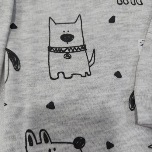 Body- PET