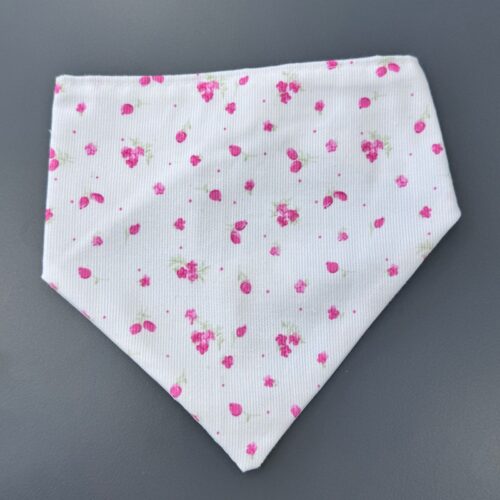 Bandana con plastico