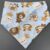 Bandana con plastico