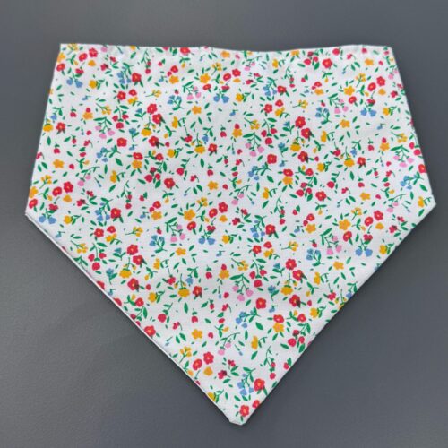 Bandana con plastico