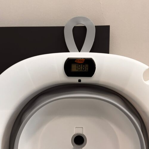 Bañera Pegable con Termometro Digital- Gris