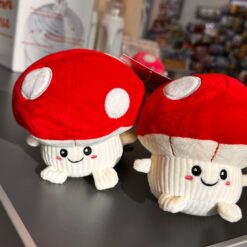 Hongo chico Rojo