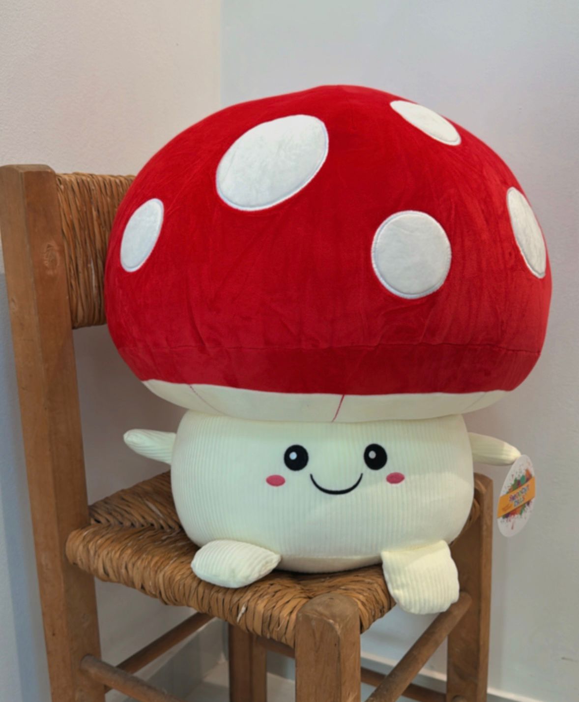 Hongo Peluche
