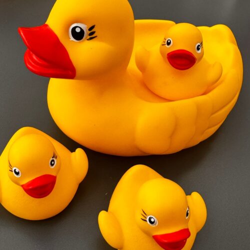 Familia Pato
