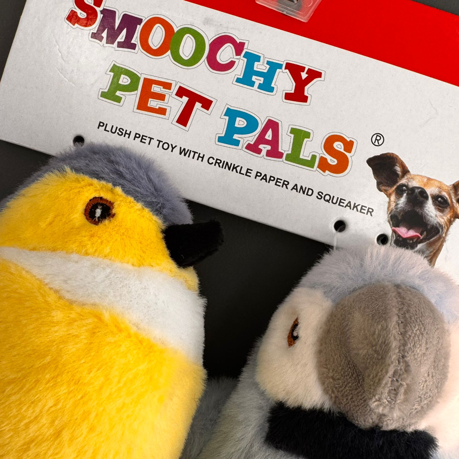 Loritos para Perros