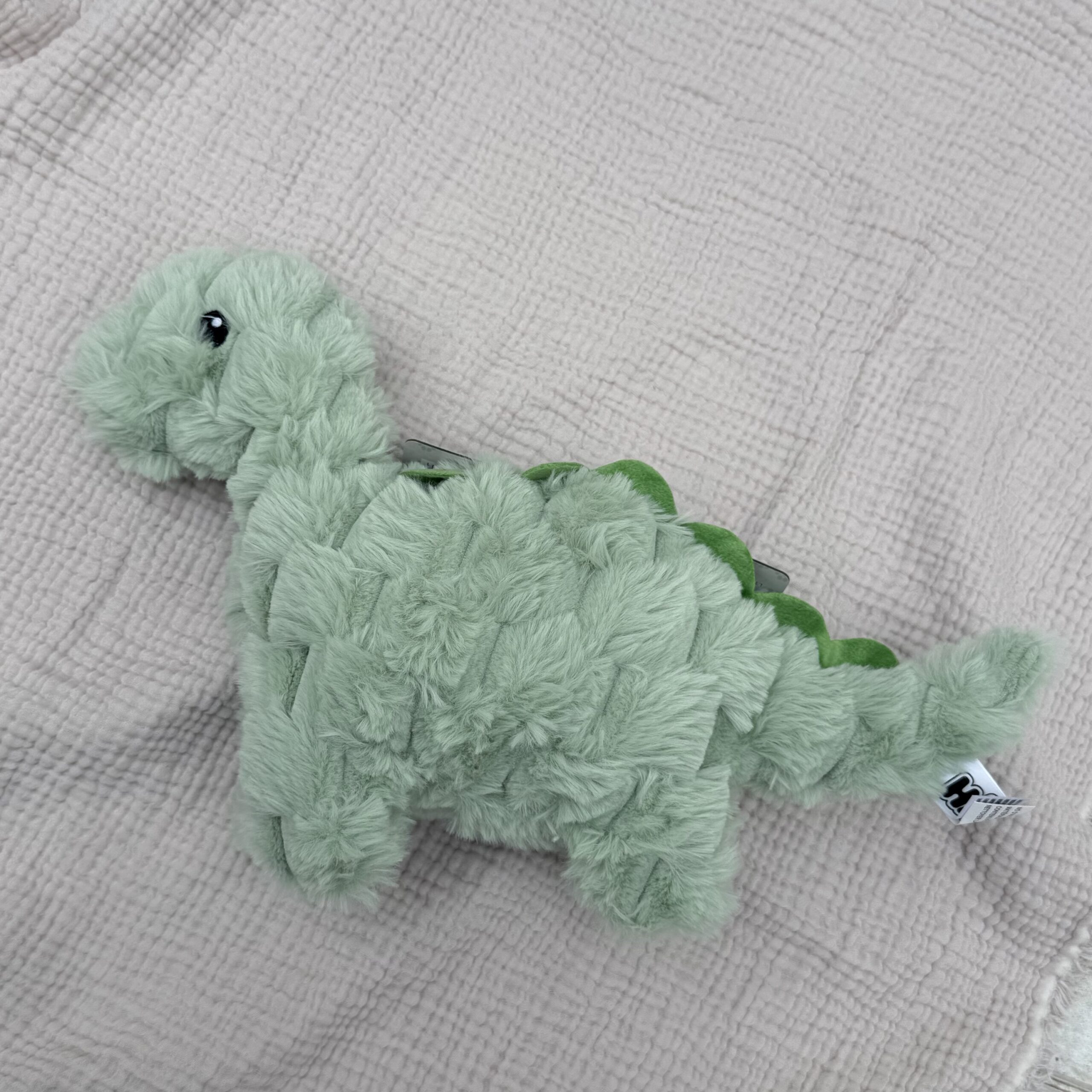 img_6167 Apego para mascotas- Dino