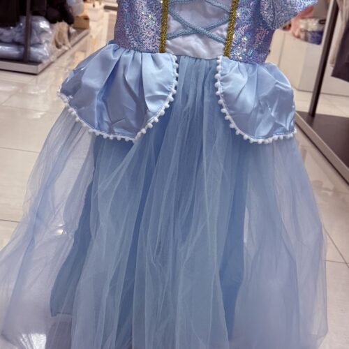 Disfraz de Princesa
